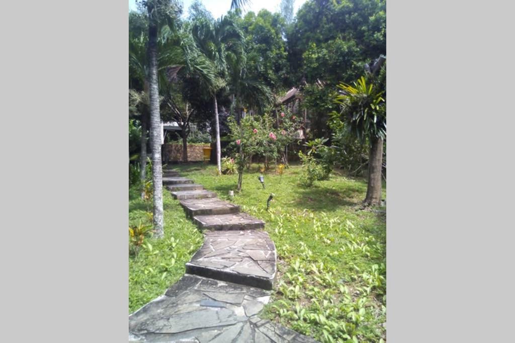 Gaze 2: Modern Tropical Seaview Villa Pantai Cenang  Zewnętrze zdjęcie